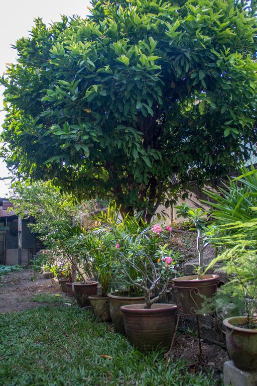Cozy Mount Erskine Homestay George Town Exteriér fotografie